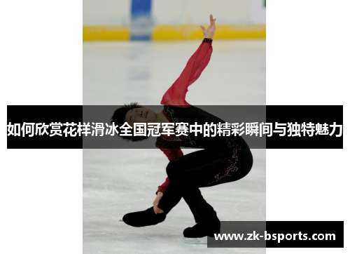 如何欣赏花样滑冰全国冠军赛中的精彩瞬间与独特魅力